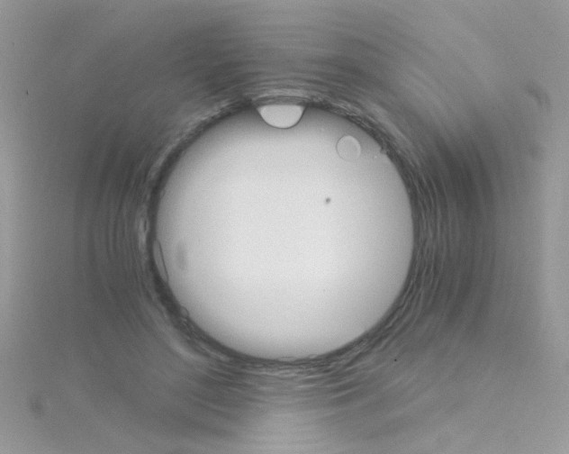 X0000114390500200911271501