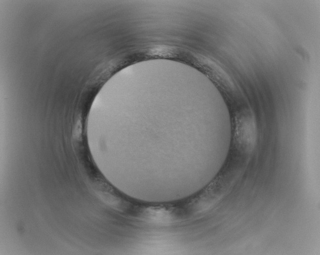 X0000114390502200911271501