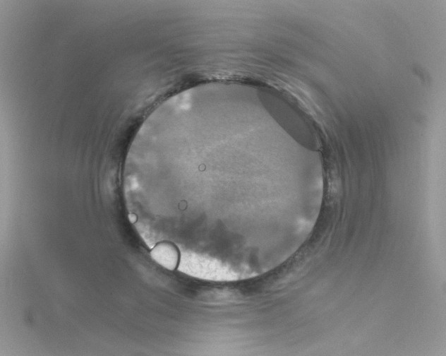 X0000114390503200911271501