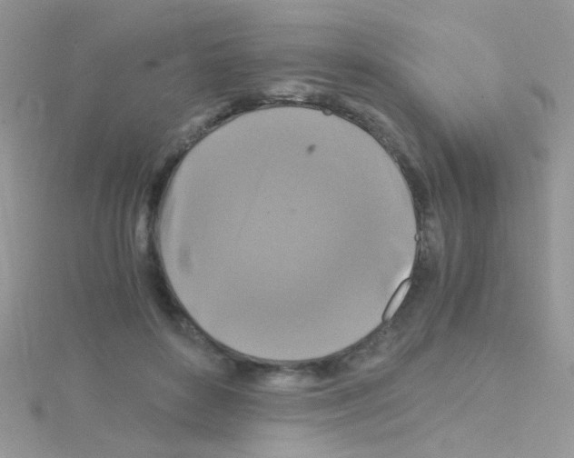 X0000114390504200911271501