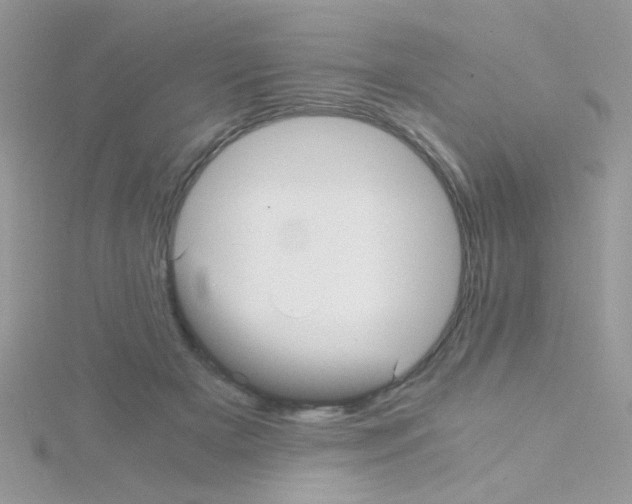 X0000114390505200911271501