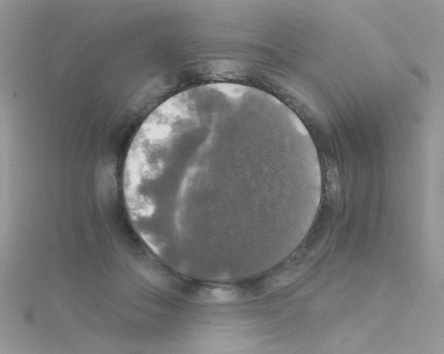 X0000114390506200911271501