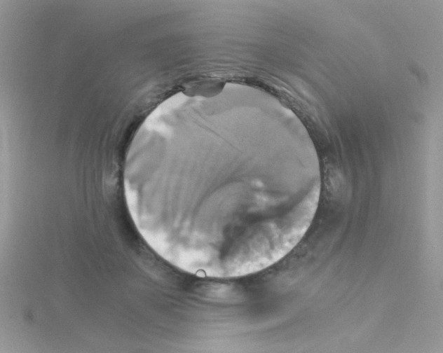 X0000114390507200911271501