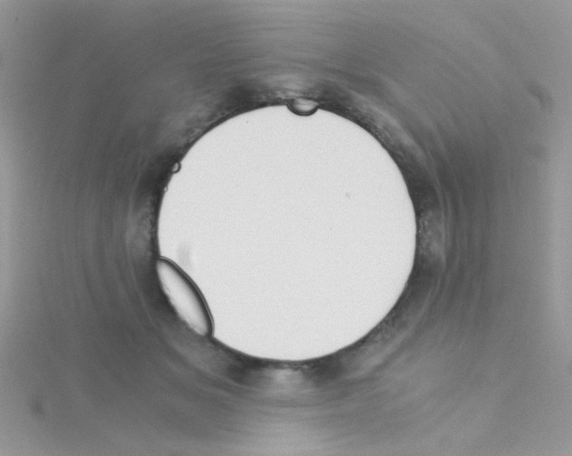 X0000114390509200911271501