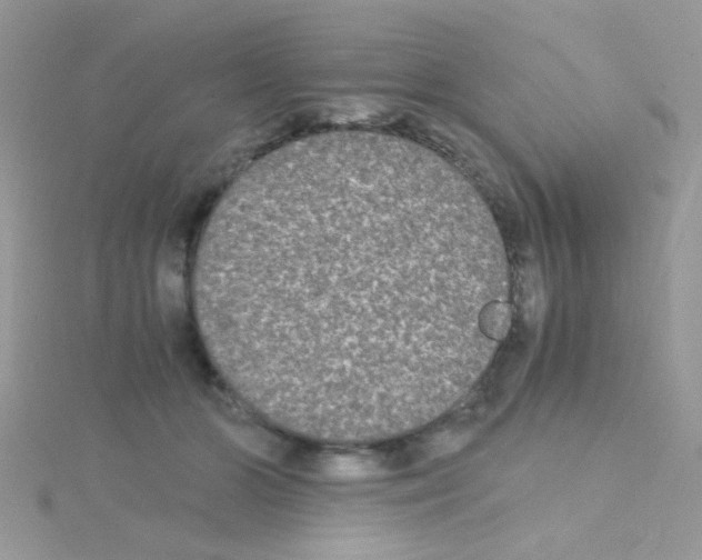 X0000114390510200911271501