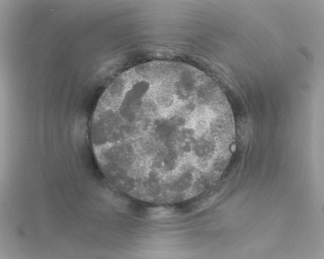 X0000114390511200911271501