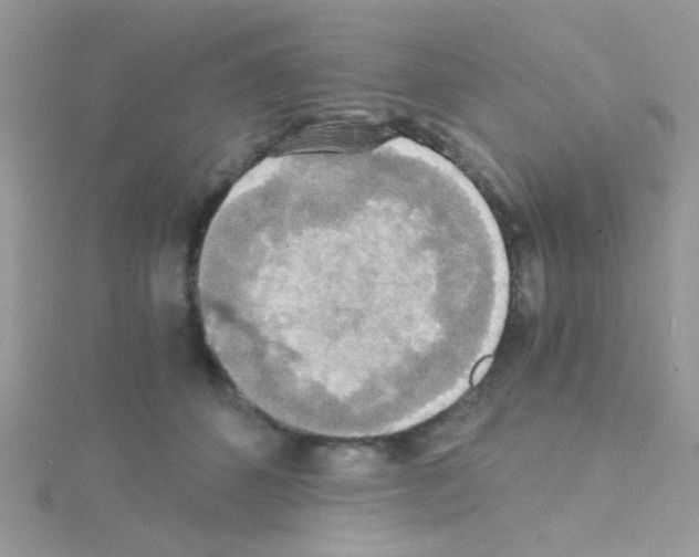 X0000114390512200911271501