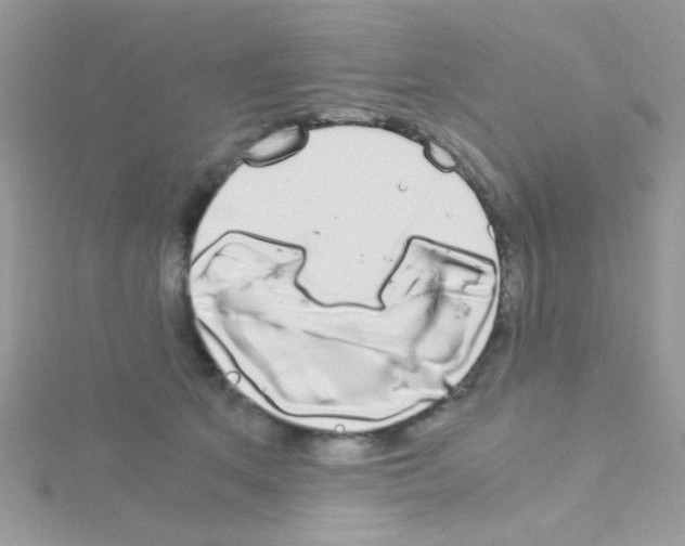 X0000114390513200911271501