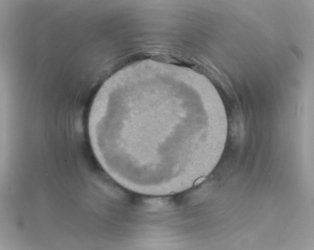 X0000114390516200911271501