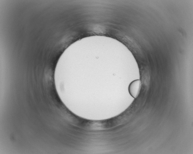 X0000114390518200911271501