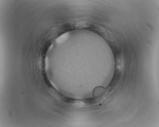 X0000114390519200911271501