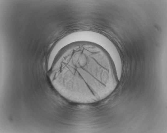 X0000114390520200911271501