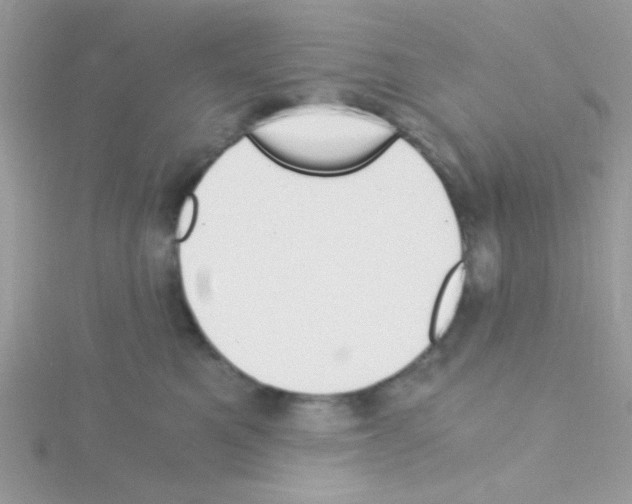 X0000114390521200911271501