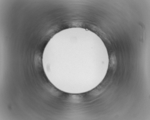 X0000114390522200911271501