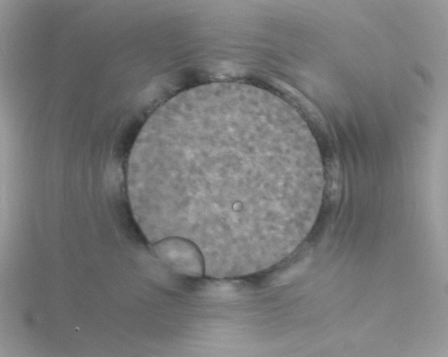 X0000114390523200911271501