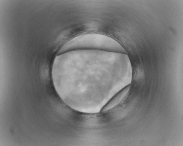 X0000114390524200911271501