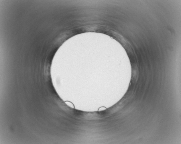 X0000114390525200911271501