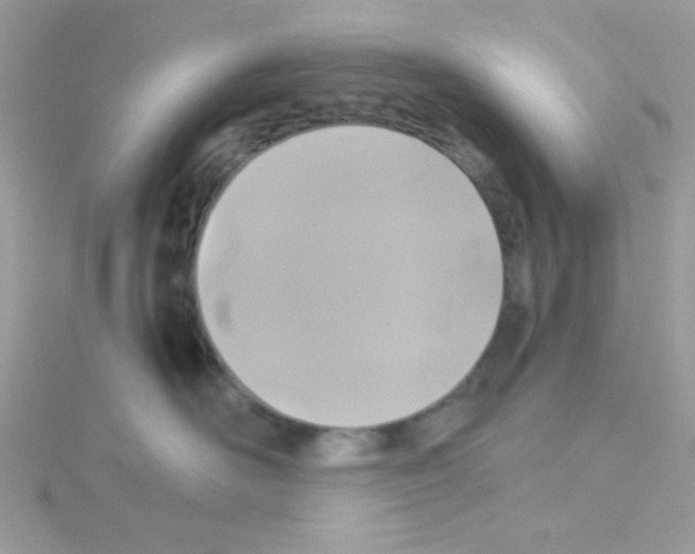 X0000114390526200911271501