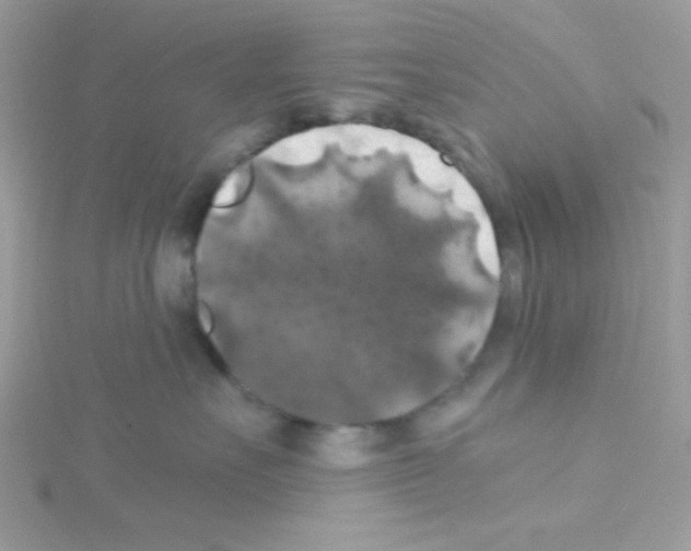 X0000114390527200911271501