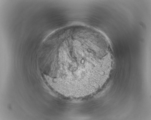 X0000114390529200911271500