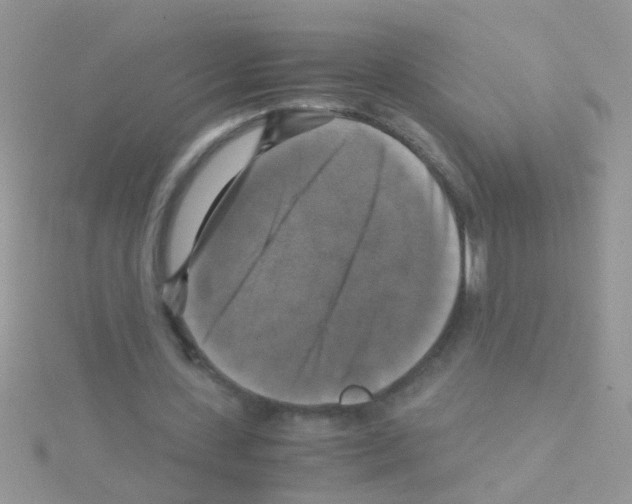 X0000114390531200911271500