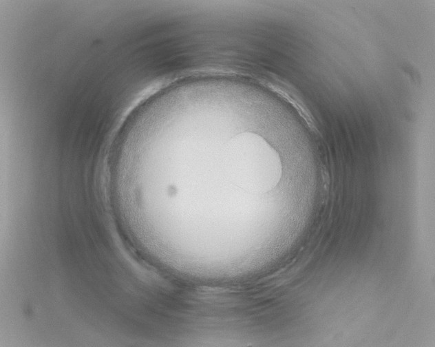 X0000114390534200911271500