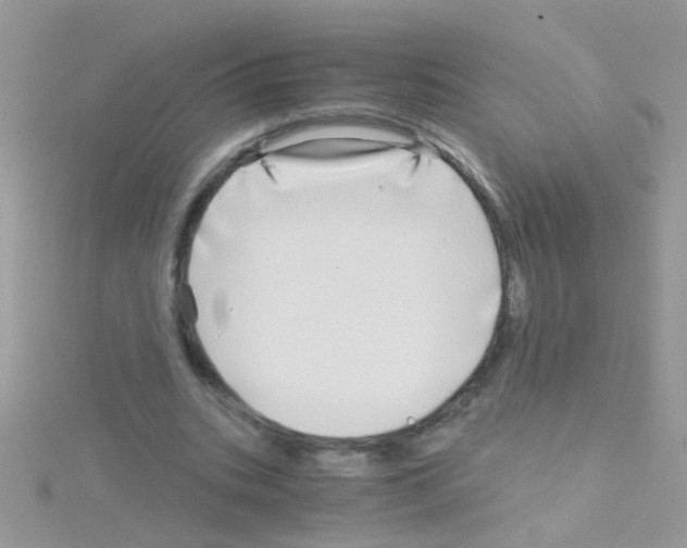 X0000114390535200911271500