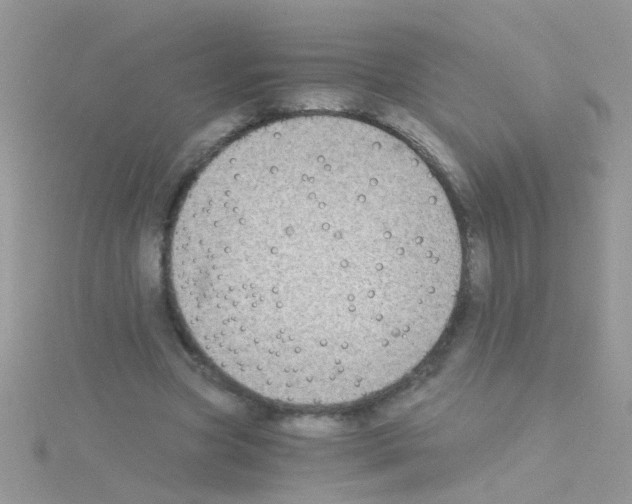 X0000114390537200911271500