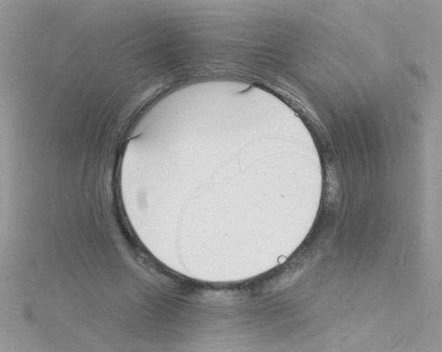 X0000114390538200911271500