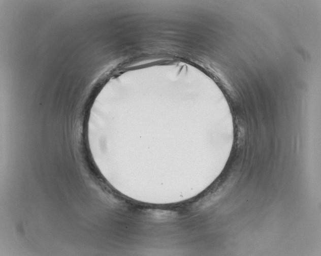 X0000114390539200911271500