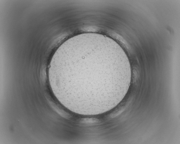 X0000114390541200911271500