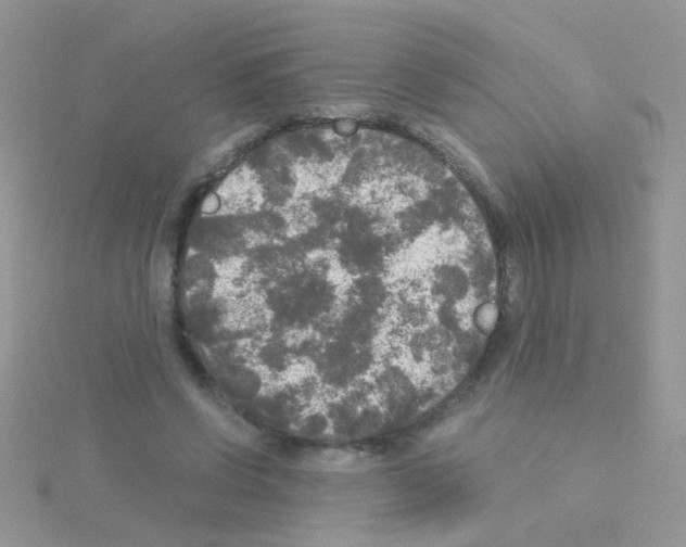 X0000114390542200911271500