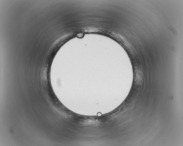 X0000114390543200911271500