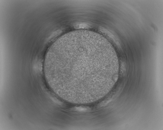 X0000114390545200911271500