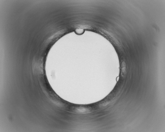 X0000114390547200911271500