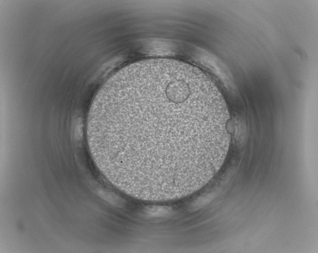 X0000114390549200911271500