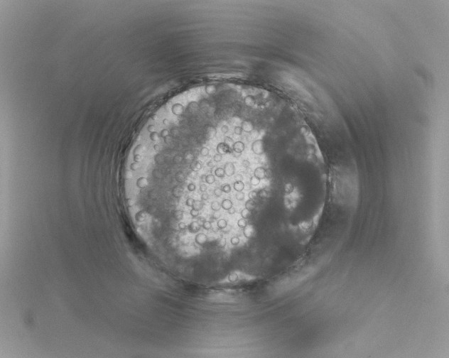 X0000114390550200911271500