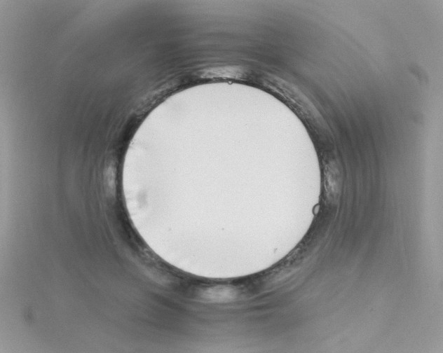 X0000114390551200911271500