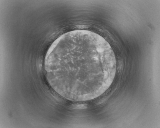 X0000114390553200911271500