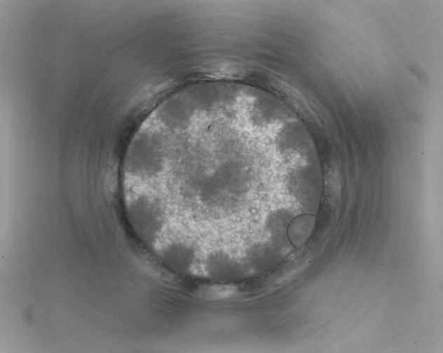 X0000114390554200911271500