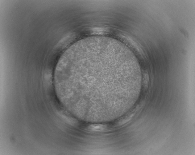 X0000114390557200911271501