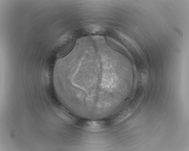 X0000114390558200911271501