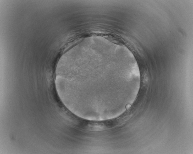 X0000114390559200911271501