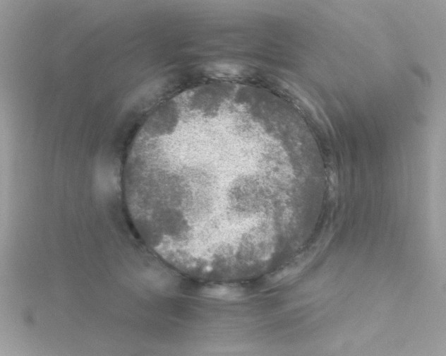 X0000114390561200911271501