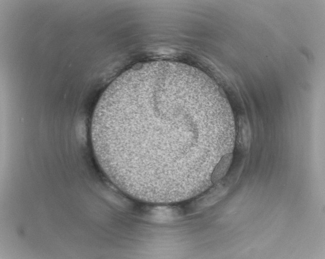 X0000114390562200911271501