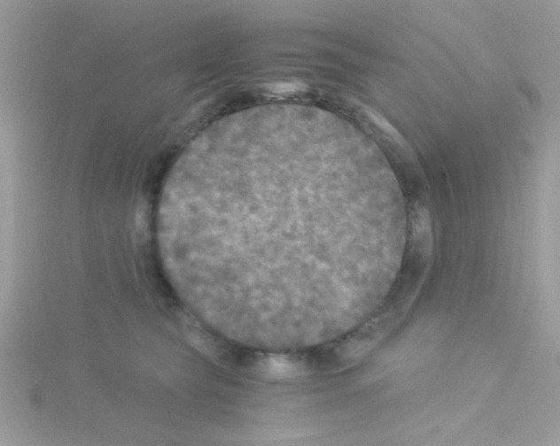 X0000114390565200911271501