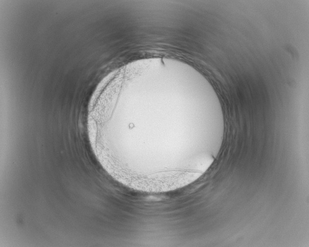 X0000114390566200911271501