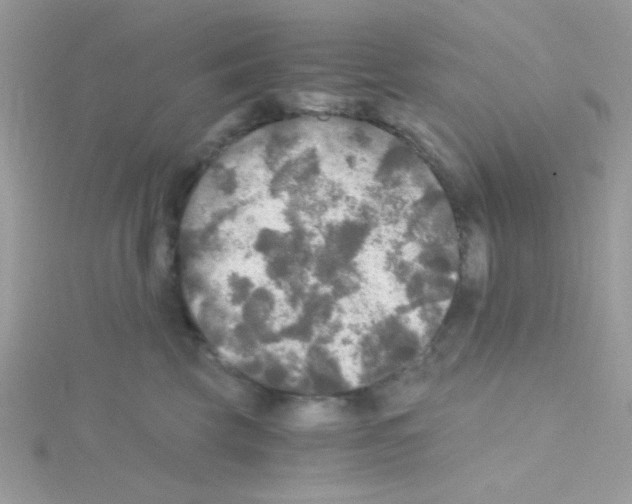 X0000114390569200911271501