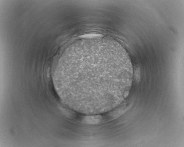 X0000114390571200911271501