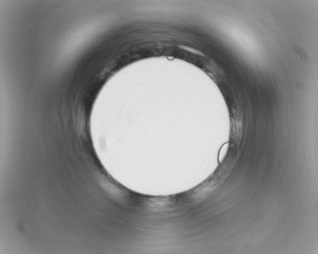 X0000114390574200911271501